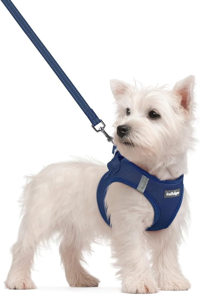 rabbitgoo Dog Harness Small Sized and Leash Set, Step in Soft Light Puppy Vest, Breathable Mesh Pet Harness, Reflective for Safe Outdoor Walking, Navy Blue S