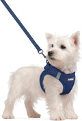 rabbitgoo Dog Harness Small Sized and Leash Set, Step in Soft Light Puppy Vest, Breathable Mesh Pet Harness, Reflective for Safe Outdoor Walking, Navy Blue S