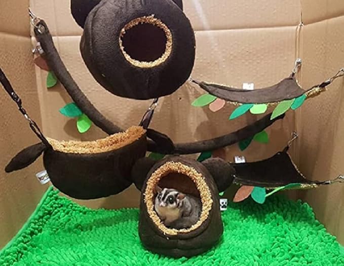 6 Pieces Cute KPS Jungle Bear Style Sugar Glider Hamster Squirrel Chinchillas Small Pet Cage Set Forest Bear Pattern Dark Brown Color Get Free 1 Small Pet Treats (Dry Fish Stick)