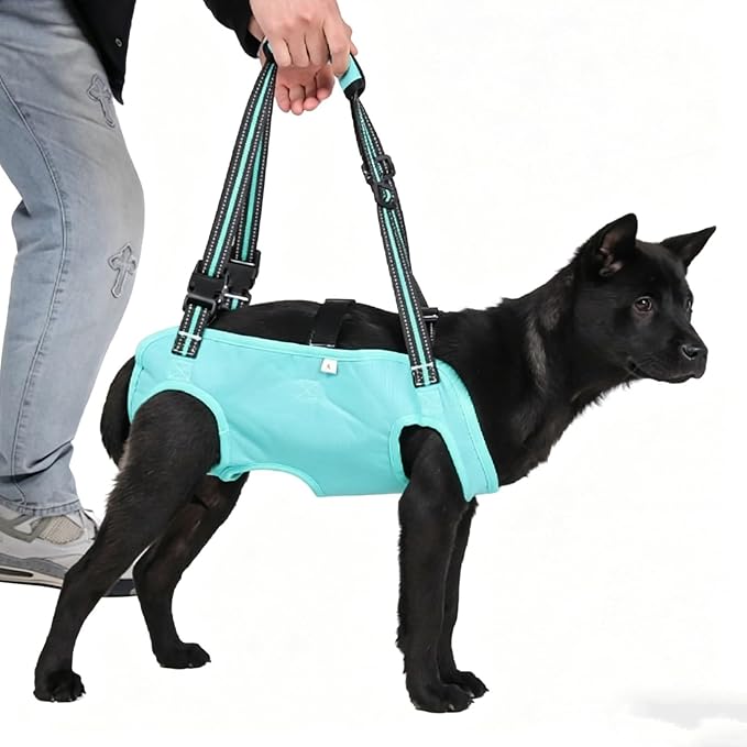 Dog Lift Harness, Full Body Support Sling，Adjustable Handle & Open Crotch Design for Senior, Disabled, Injured Dogs, Help with Walking, Climbing Stairs, Car Travel(Blue,XX-Large)