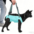 Dog Lift Harness, Full Body Support Sling，Adjustable Handle & Open Crotch Design for Senior, Disabled, Injured Dogs, Help with Walking, Climbing Stairs, Car Travel(Blue,Small)