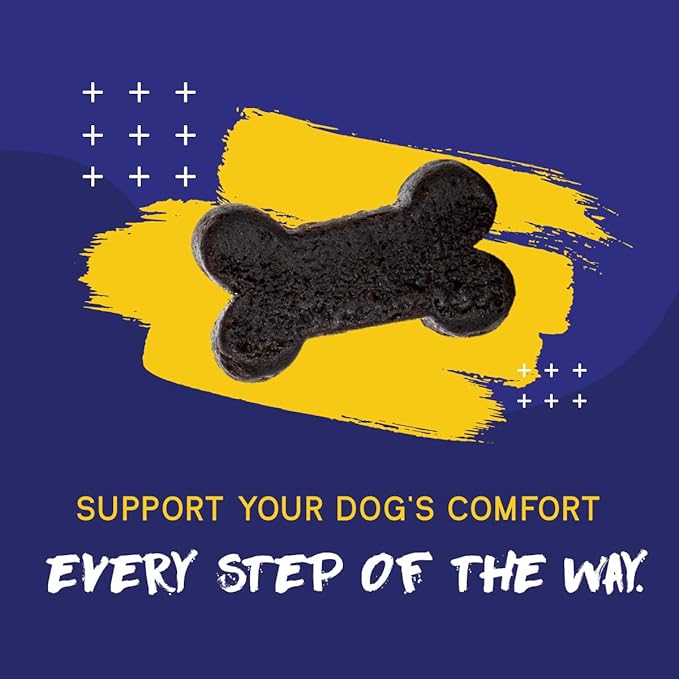 PupGrade Joint Support Supplement for Dogs - Glucosamine + Chondroitin with MSM and Perna - Supports Normal Hip & Joint Health for Occasional Discomfort, Beef Flavor - 60 Soft Chews