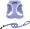 Voyager Step-in Pet Harness - All Weather Mesh, Adjustable Step in Harness for Cats and Dogs by Best Pet Supplies - 307 Set Lavender, XXXS