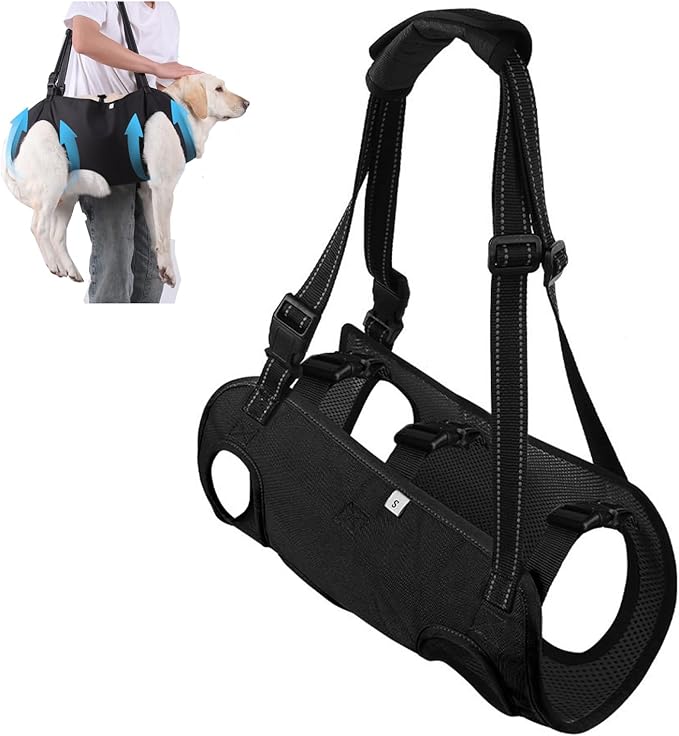 Adjustable Dog Support Harness for Senior & Disabled Pets – Lift Assist Rehab Sling with Leash Clip for Mobility, Walking & Recovery(Black,Small)