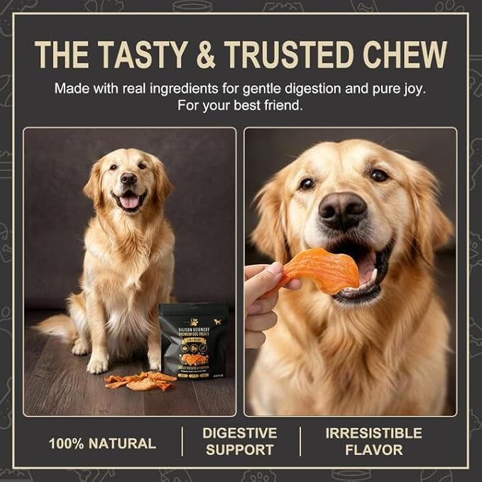 Premium Dog Treats with Nutritional Benefits – Sweet Potato & Pumpkin for Happy, Healthy Dogs - Grain-Free Natural Dog Chews for Digestion & Energy - Dog Snacks for Training & Rewards