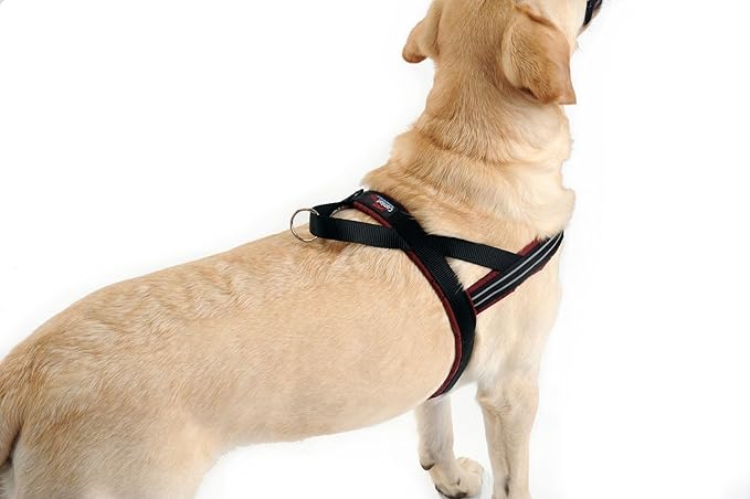 ComfortFlex Sport Dog Harness – No-Choke, Fully Padded, Non-Chafing Harness with Control Handle – Reflective, Lightweight, Adjustable for Active Dogs - XXSmall, Red
