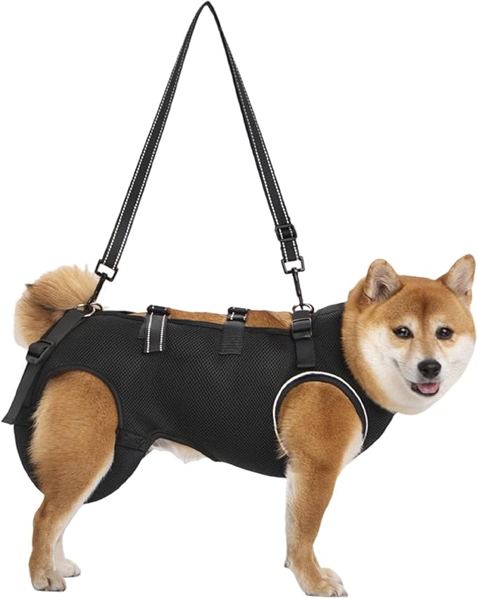 Adjustable Dog Harness for Elderly Pet with Padded Belt and Breathable Design Disabled Lift Slings Rehabilitation Harness
