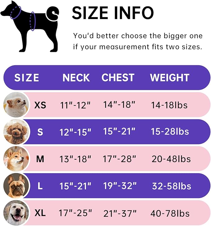 IVY&LANE No Pull Dog Harness for Small Dogs, Dog Vest Harness with Leash, Safety Belt and Storage Strap, Fully Adjustable Harness, 360° Reflective Strip, Soft Handle (Purple, S)