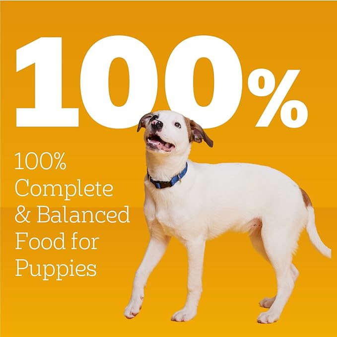 Pedigree Puppy Chopped Ground Dinner Wet Puppy Food with Chicken & Beef, Canned Dog Food, 13.2 oz. Cans, 12 Count