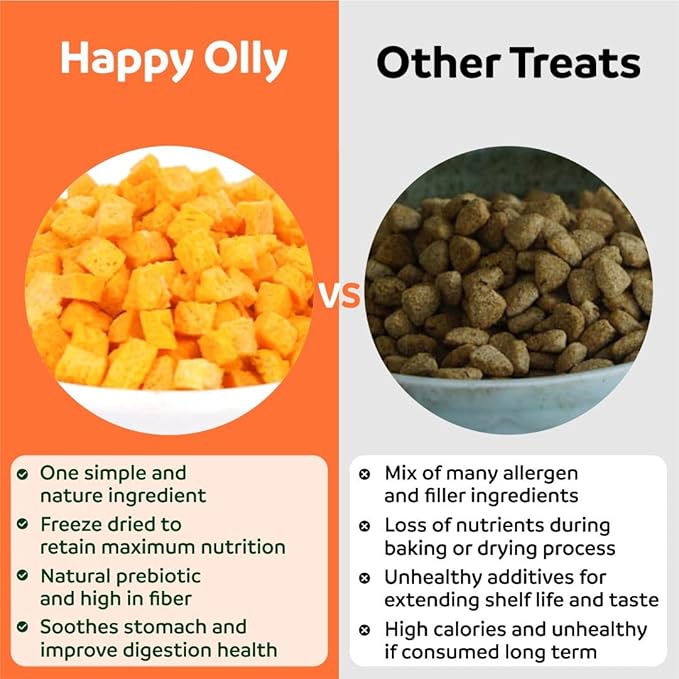 Pumpkin Treats for Dogs Digestion 2oz - Freeze Dried Single Ingredient Treats/Topper, Reduce Dog Diarrhea and Scotting - Natural & Human Grade Pure Pumpkin for Dogs - Prebiotics & Fiber