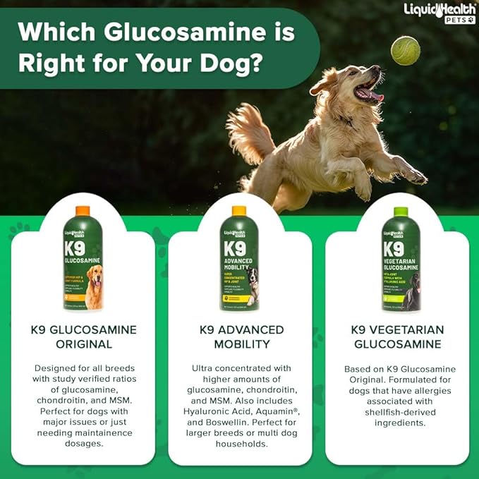 LIQUIDHEALTH Pets K9 Advanced Mobility Liquid Glucosamine Level 5000 for Large Dogs with Chondroitin, MSM, Boswellia Serrata - Dog Hip & Joint Health Vitamins, Pet Joint Oil Juice - USA Made (2 Pack)