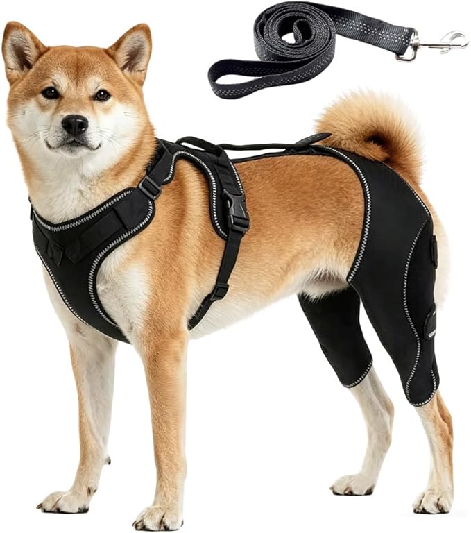 Dog Hip Brace, Dysplasia Brace for Dogs, Mild Torn ACL Leg Support, Adjustable Dog Leg Brace, Breathable, for Arthritis, Stiffness & Swelling, Knee Instability & Mobility Comfort, senior mobility (M)