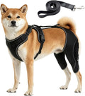 Dog Hip Brace, Dysplasia Brace for Dogs, Mild Torn ACL Leg Support, Adjustable Dog Leg Brace, Breathable, for Arthritis, Stiffness & Swelling, Knee Instability & Mobility Comfort, senior mobility (M)