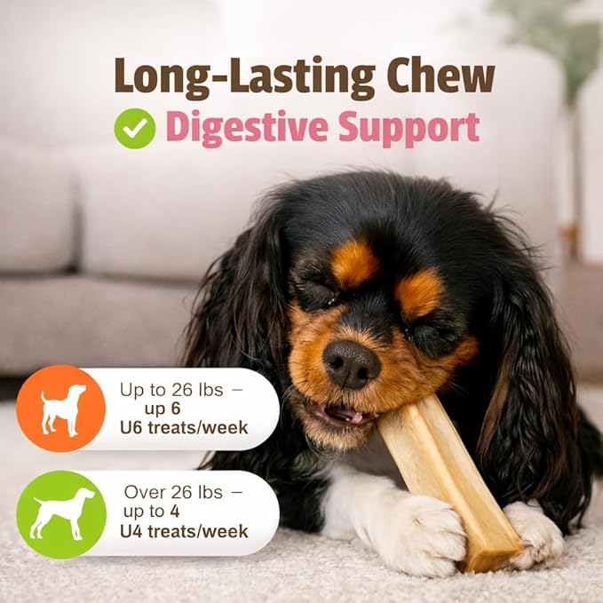 Pet Naturals BusyButter Balanced Belly Bones for Small Dogs – 22 Count, Rawhide-Free Long Lasting Chews with Probiotics, Prebiotics & Pumpkin for Dog Digestive & Gut Health Support, Peanut Butter