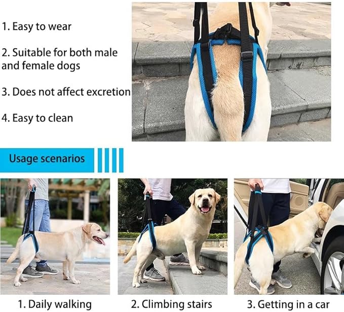 Rear Leg Lift Harness for Dogs—Hip Support Sling with Adjustable Straps, Quick-Release Buckle & Anti-Slip Hook (L/XL), Helps Senior Dogs Climb Stairs, Walk & Get in Cars(S)