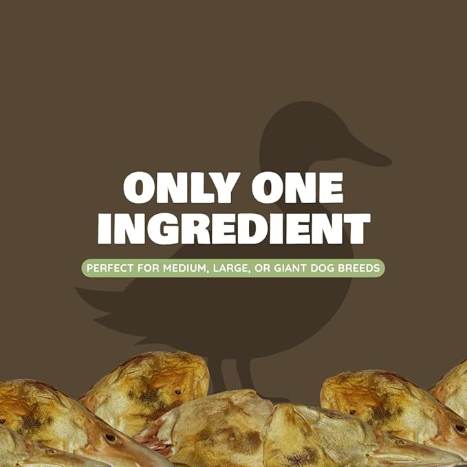 Benji & Louie Freeze Dried Duck Head - Whole Duck Head - Natural Healthy Dog Chews, Single Ingredient, 4 Count