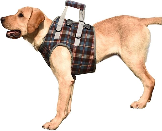 ROZKITCH Dog Lift Harness, Grid Pet Chest Support Aid Veterinarian Approved Sling for Old K9 Help with Poor Stability, Front Legs Disabled Joint Injury Elderly Arthritis ACL Rehabilitation Rehab