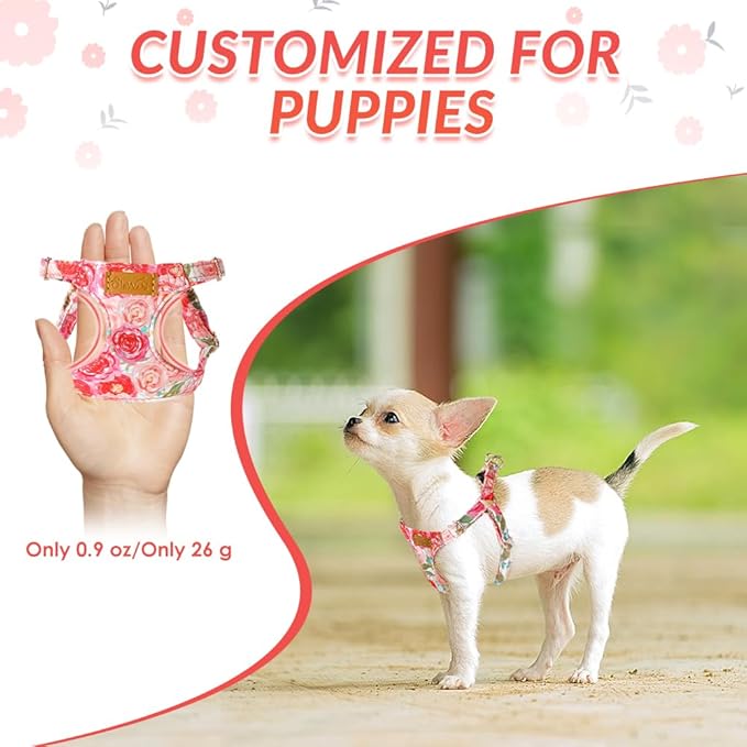 SlowTon Dog Harness Small Sized Dog - Soft XXS Dog Harness and Leash Set No Pull No Chock, Adjustable Lightweight Puppy Harness for XS Small Medium Dogs Cats (Pink Rose, XXS)