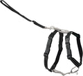 PetSafe 3 in 1 No-Pull Dog Harness for Large Dogs - Walk, Train or Travel - Helps Pets from Pulling on Walks - Seatbelt Loop Doubles as Quick Access Handle - Reflective - Large, Black