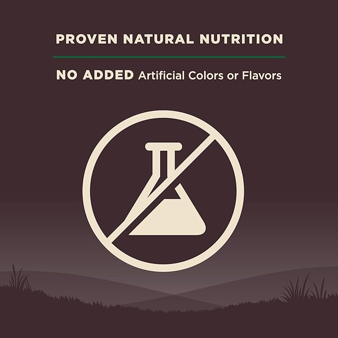 Wellness CORE Dry Dog Food, Grain Free, High Protein, Natural, Lamb Recipe, (4-Pound Bag)