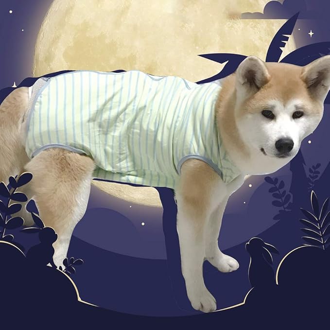 Dog’s Recovery Suit Post Surgery Shirt for Female Male Dog, E-Collar Alternative Wound Protective Clothes (Green stripe-2xl)