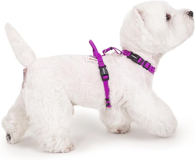 Non Restrictive Dog Harness, Easy Walk, Freedom No Pull Harness, Keep Balance, Lightweight, Neck Buckle, 2 Clips for Back/Front Clip, Sewn-in Instructions Labels for Easy Use (Purple, X-Small)