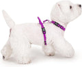 Non Restrictive Dog Harness, Easy Walk, Freedom No Pull Harness, Keep Balance, Lightweight, Neck Buckle, 2 Clips for Back/Front Clip, Sewn-in Instructions Labels for Easy Use (Purple, X-Small)