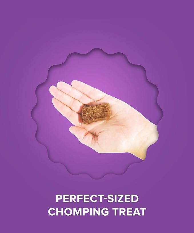 PLATO Pet Treats Real Strips Dog Treats – Lamb – Air-Dried High Protein Dog Treats – Limited Ingredient, Nutrient Dense, No Artificial Flavours– Made in USA – 6 oz