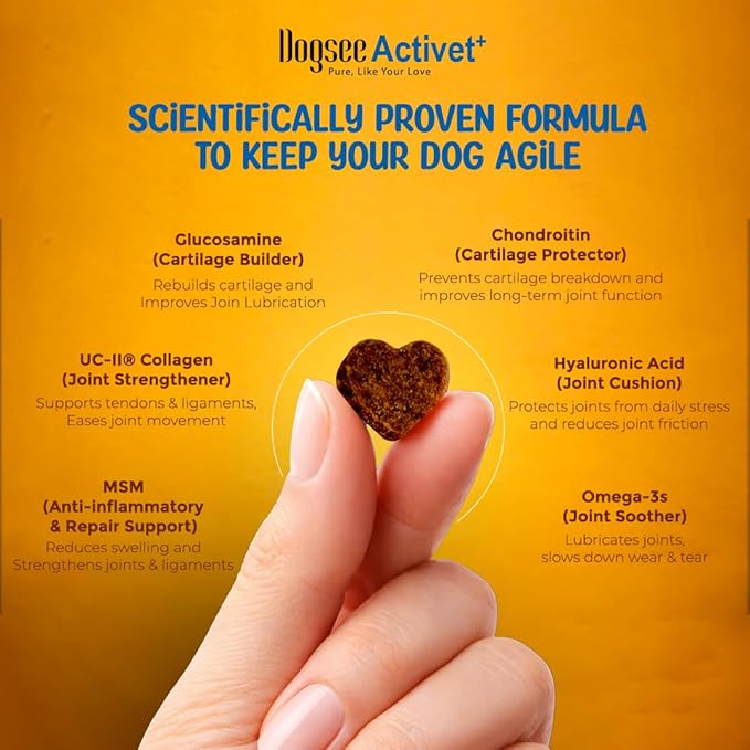 Dogsee Activet+ Dog Hip & Joint Supplement Chews, with Glucosamine, Chondroitin, MSM, Collagen & Omega 3, Mobility & Cartilage Support, Chicken Flavor – 90 Chews