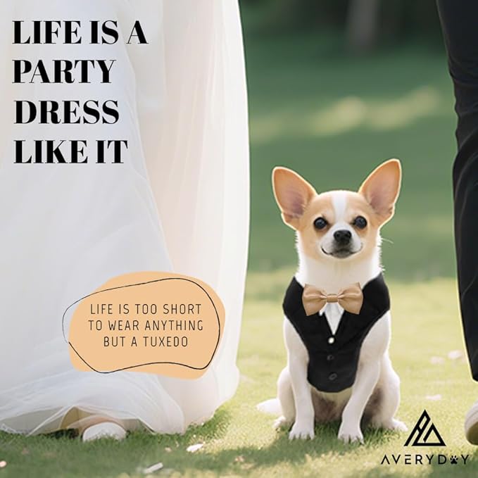 AVERYDAY XS Pet Tuxedo Harness, Wedding Costume Outfit for Small Dogs, Slim Cats and Tiny Pets with 9.1" Neck, 14.2-18.9" Chest, 9" Max Head Girth, Formal Suit Costume for Mini Breeds