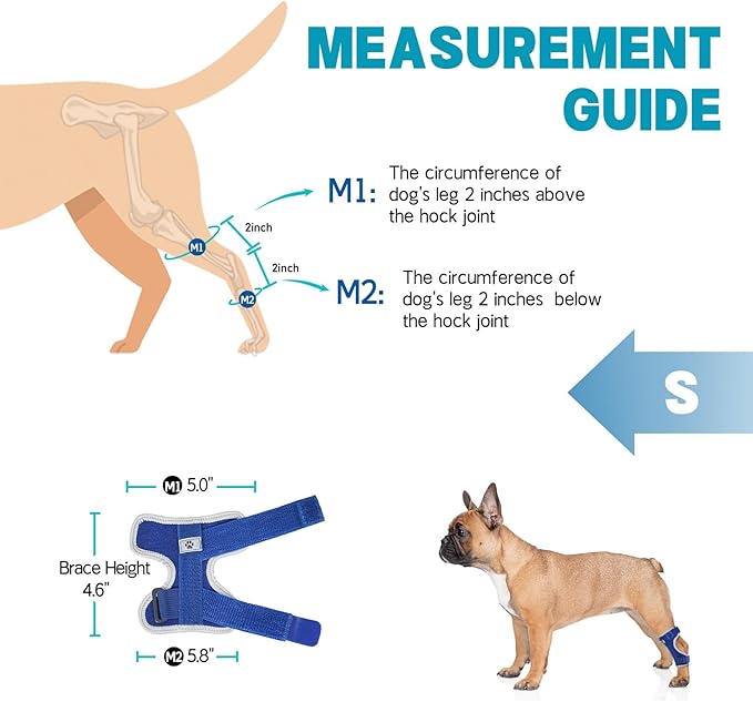 Supet Dog Leg Brace for Back Leg - Hock & Ankle Joint Support for Rear Legs with 2 Metal Springs, Anti-Slip Design & Reflective Trim for Sprain, Arthritis, Injury & Wound Recovery (Blue, S)