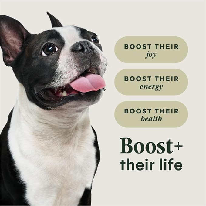 Instinct RawBoost Small Breed, Natural Dry Dog Food with FreshDried Raw, High Protein, Grain-Free Recipe - Real Chicken, 3.5 lb. Bag