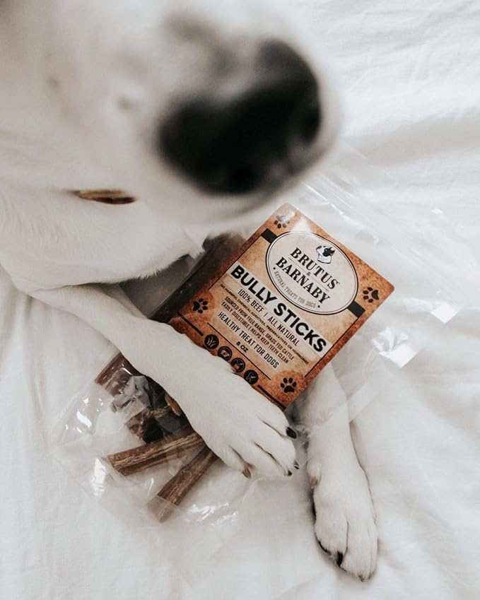 BRUTUS & BARNABY 6 Inch Bully Sticks for Dogs (10 Count) - Natural Grass-Fed Beef Chew Sticks, Odor Free, Single Ingredient, Fully Digestible, Rawhide Free - for Small, Medium & Large Dogs
