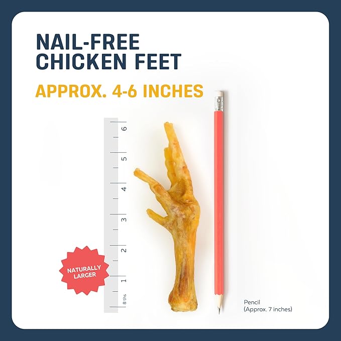 Big Lu – Nail-Free Chicken Feet Dog Chews, (100-Pack) | 100% Natural Single-Ingredient Treats, Rawhide-Free, Long-Lasting, Rich in Glucosamine and Chondroitin for Joint Health