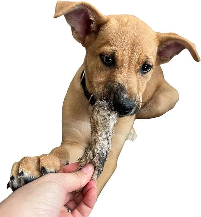 Dehydrated Rabbit Feet for Dogs & Cats - Furry Rabbit Feet Dog Treats - Whole Rabbit Front Paws for Cats & Dogs - Pack of 12