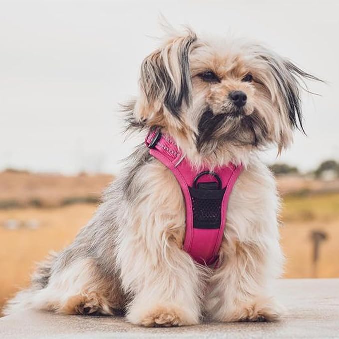 Voyager Dog Harness Dual Leash Attachment No-Pull Control Adjustable Soft but Strong Pet Harness for Medium and Large Dogs with 3M Reflective Technology, Fuchsia Nylon, L (Chest: 25-30")