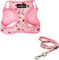 Lucy & Co. Cutie Patootie Step-in Cat Harness & Leash Bundle – Reflective, Breathable & Adjustable Harness for Cats, Kittens & Small Dogs, Lightweight & Secure and Dual Leash Clips – Large