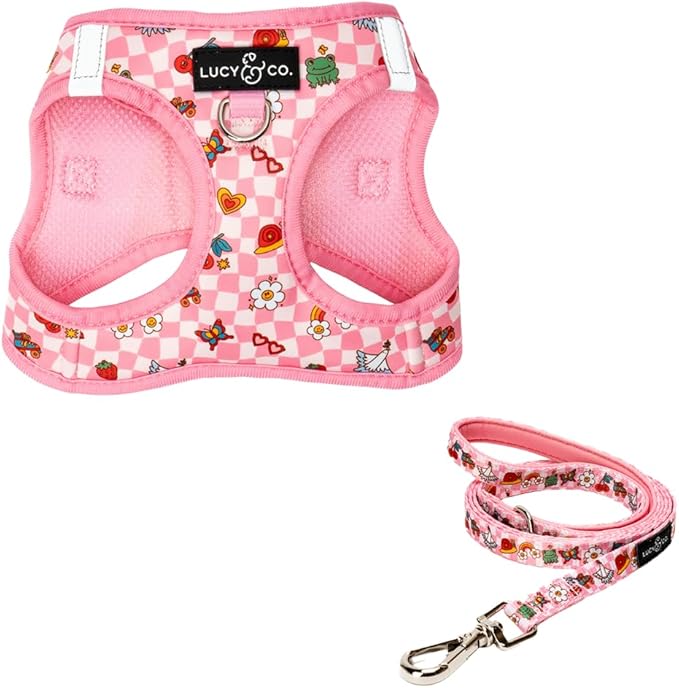 Lucy & Co. Cutie Patootie Step-in Cat Harness & Leash Bundle – Reflective, Breathable & Adjustable Harness for Cats, Kittens & Small Dogs, Lightweight & Secure and Dual Leash Clips – Medium