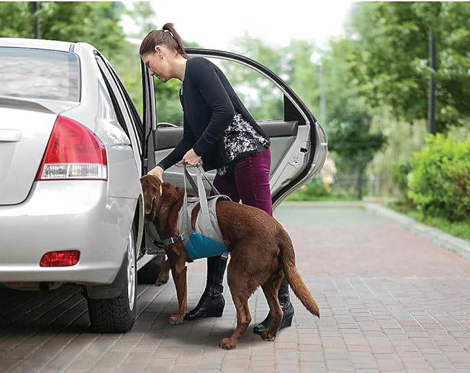 Kurgo Up & About Dog Lifter - Elderly Dog Mobility Aid - Comfortable Padded Chest - Adjustable Support Straps - Lifting Harness for Car Entry & Easy Stair Climbing