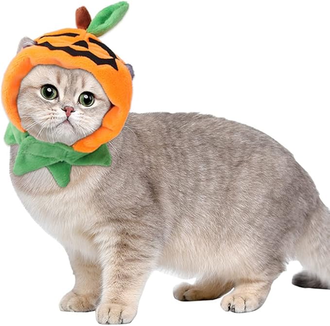 Cat Halloween Hat Small Dogs Pumpkin Costume Pet Party Hat