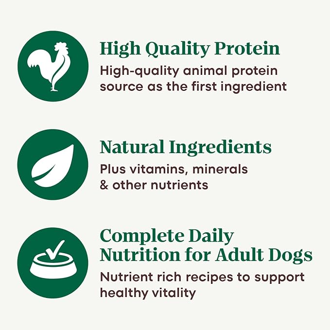 Nutro Hearty Stew Canned Wet Dog Food, Natural Grain Free Dog Food Wet Cuts in Gravy Chunky Beef, Tomato, Carrot & Pea, 12.5 oz Cans (12 Count, Pack of 1)