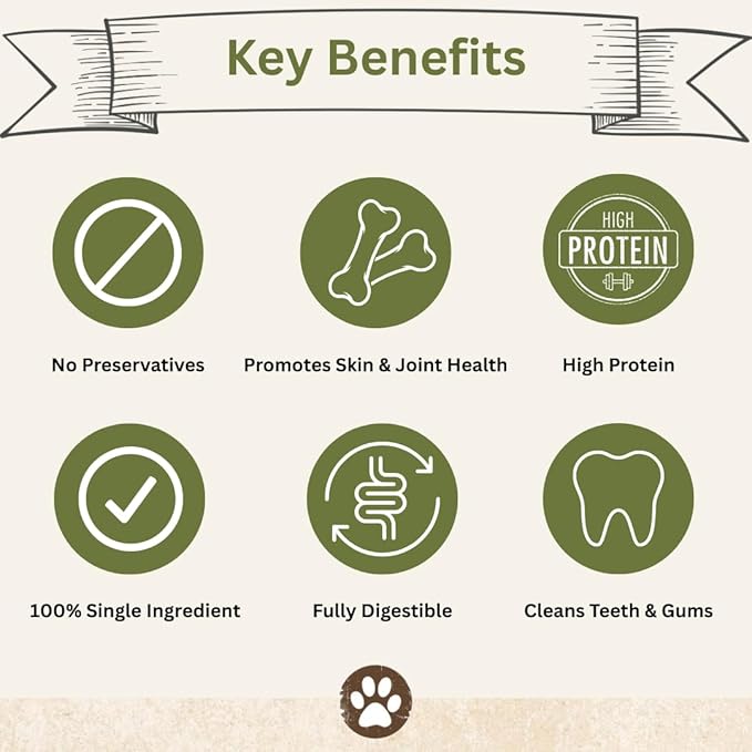 Top Dog Chews Dehydrated Chicken Feet for Dogs (50) – All Natural, Single Ingredient Dog Treats – Nail Free, Easily Digestible, Protein Rich, Low in Calories, Supports Joint Health