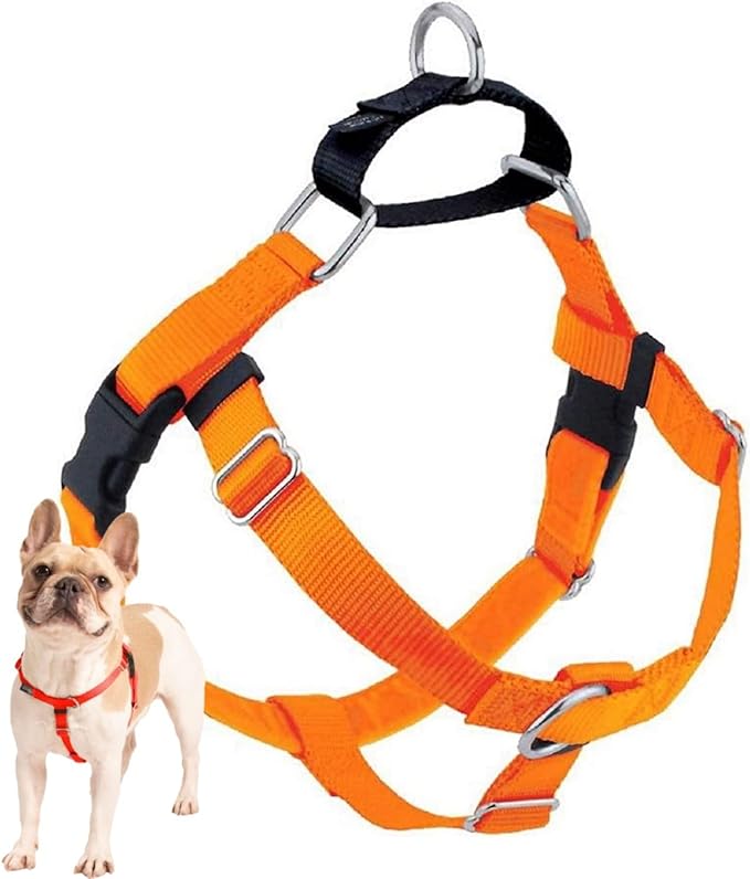 2 Hounds Design Freedom No Pull Dog Harness, Adjustable Harness, Easy Walking & Comfortable Control, Fits Small, Medium & Large Dogs, Solid Colors, Made in USA, 5/8" MD, Neon Organge