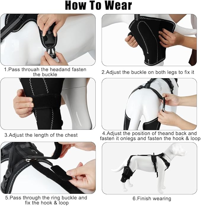 Vivifying Dog Hip & Leg Support Harness for Mobility Assistance, Adjustable Rear Leg Brace with Lift Handle for Injured or Senior Dogs, Joint Stabilizing Hind Leg Support for Walking, Recovery (M)