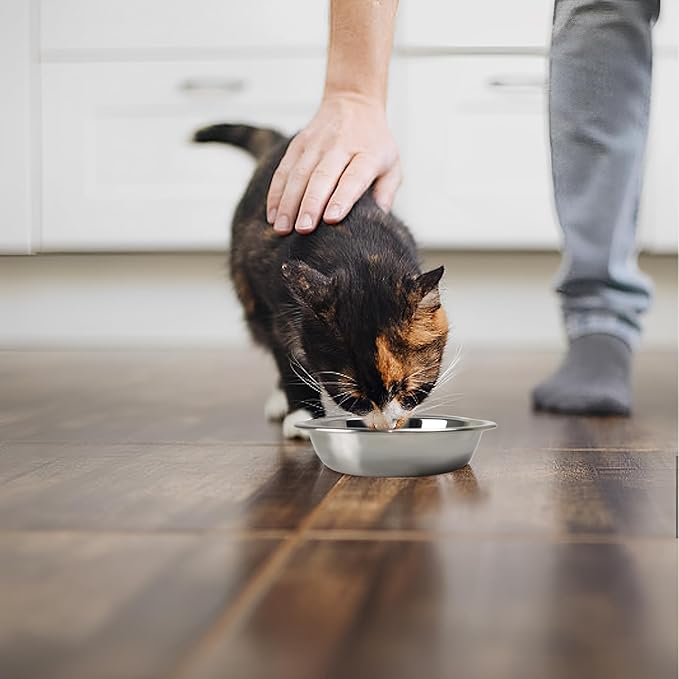 Stainless Steel Cat Bowls, Whisker Friendly Shallow Cat Food Bowls, Small Metal Pet Dish for Kittens and Indoor Cats, Basic Replacement Plates for Elevated Feeder Stands (7.1in-4Pcs)
