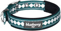 Blueberry Pet Reflective Jacquard Dog Collar with Neoprene Padding & Metal Buckle | Soft & Adjustable Safety Collar - Teal Blue