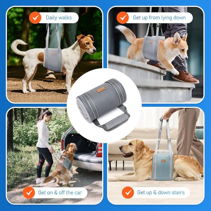 Dog Lift Harness for Medium Dog, Adjustable Dog Sling for Back Legs, Hip Support Harness to Help Lift Dogs Rear for Helps Senior, Injured, Disabled and After ACL Surgery Dogs - Medium, Grey