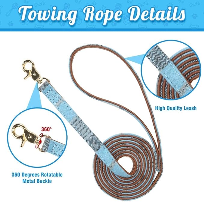 BINGPET Puppy Collar and Leash Set for Small Dogs, Plaid Bowtie Dog Collars Bandana for Boy Girl Dogs, Cute Adjustable Collar and Leash Set with Bow for Dog Cat Outdoor Walking, Blue S (No Bell)