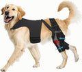 Dog Knee Brace for Torn ACL Hind Leg, Dog Leg Brace Helps with Pain from Torn CCL, Luxating Patella, Ligament Injuries, L