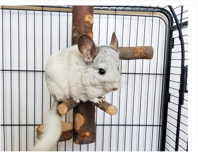 Chinchilla Large Hanging Wooden Rotating Platform - Small Animal Natural Fruit Wood Standing Platform for Squirrels, Sugar Gliders & Birds